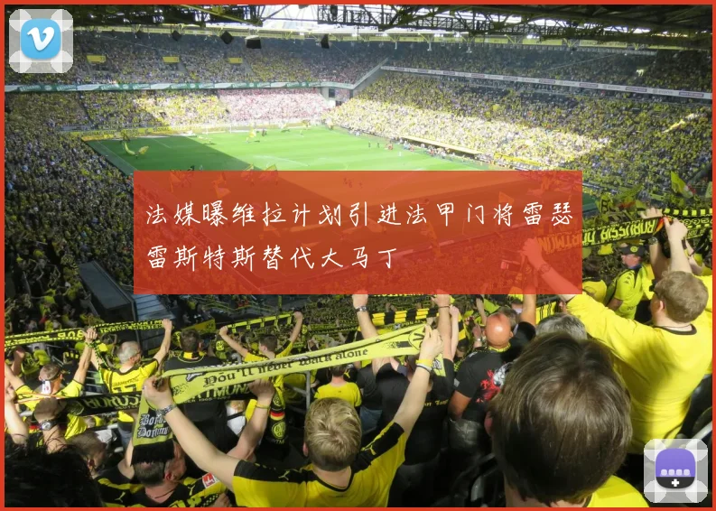 法媒曝维拉计划引进法甲门将雷瑟雷斯特斯替代大马丁